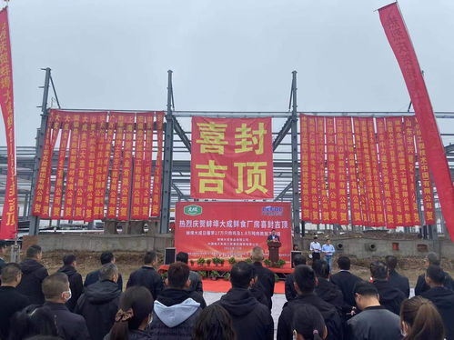 大成食品鮮食工廠建設項目主體結構封頂儀式在澄海盛隆紙品舉行